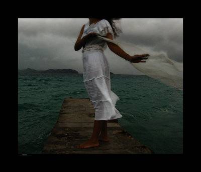 Evasion